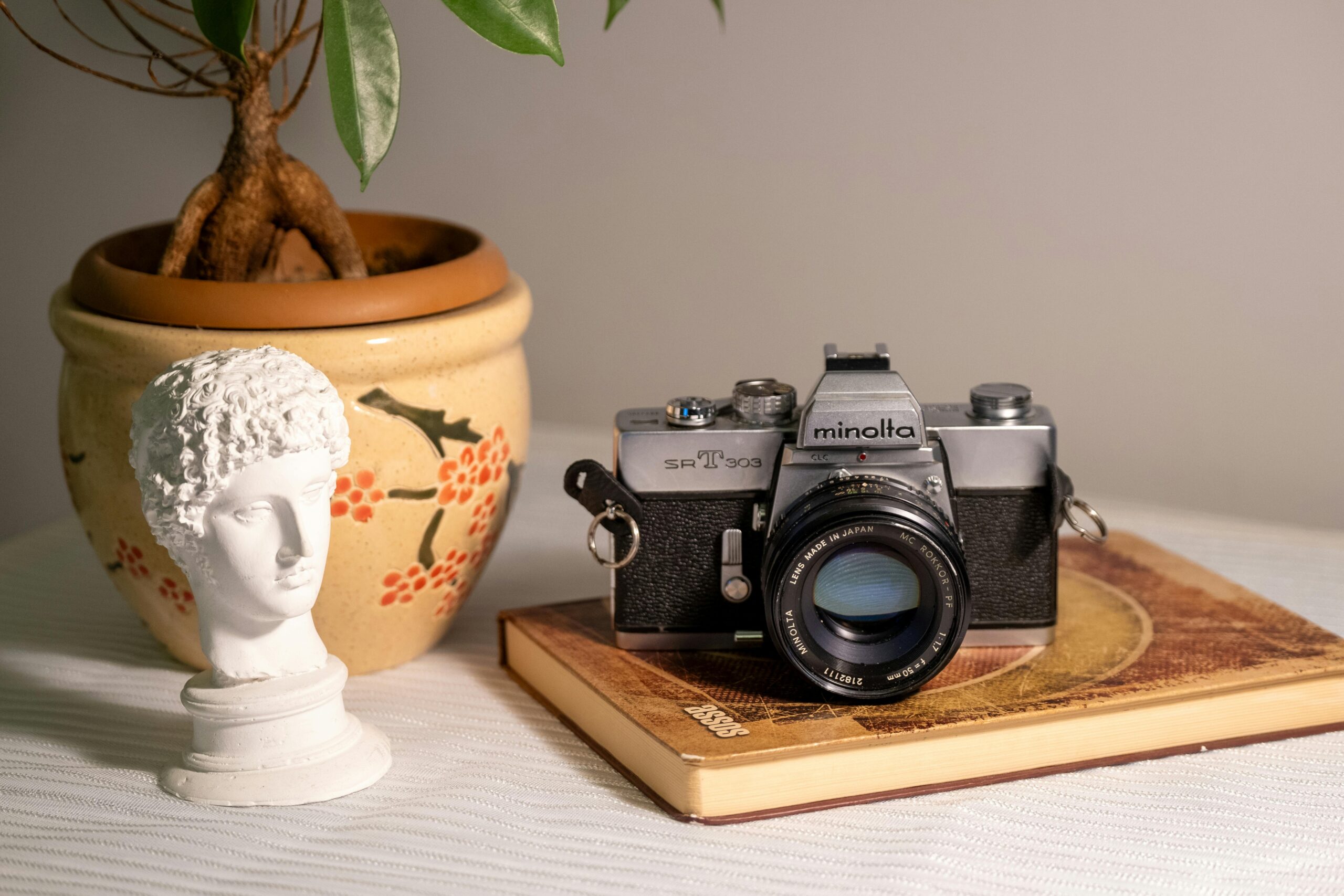 A vintage Minolta camera alongside a plant and classical bust on a book indoors.